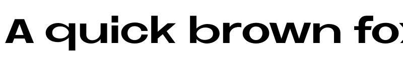 Preview of Neue Metana Bold font