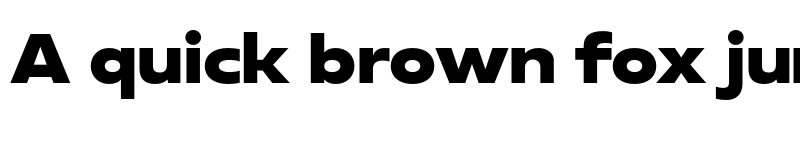 Preview of Neue Reman Gt Heavy Expanded font