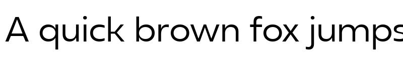 Preview of Neue Reman Sans Regular font