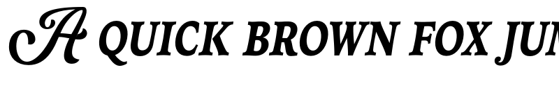 Preview of Neue Yokarto Italic font