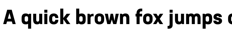 Preview of Neusa Next Std Bold font