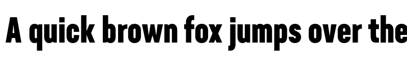 Preview of Neusa Next Std Compact Bold font