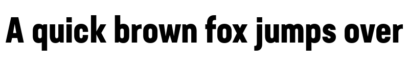 Preview of Neusa Next Std Condensed Bold font