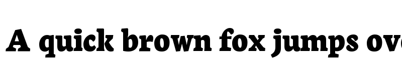 Preview of Neuton Extrabold font