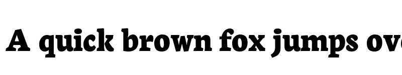 Preview of Neuton ExtraBold font