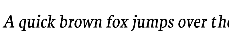 Preview of Neuton Italic font