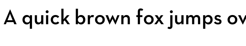 Preview of Neutra Text TF Demi font