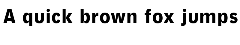 Preview of Neuzeit Grotesk Cond Black font