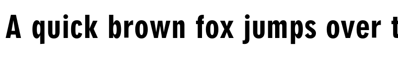 Preview of Neuzeit Grotesk ExtCond Black font