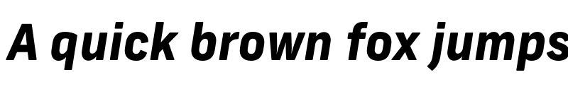 Preview of New Frank ExtraBold Italic font