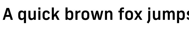 Preview of New Frank Medium font