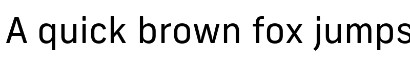 Preview of New Frank Regular font