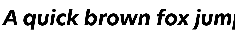 Preview of New Hero Bold Italic font