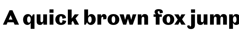 Preview of New Reason Bold font