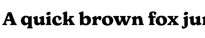 Preview of New Spirit Bold font