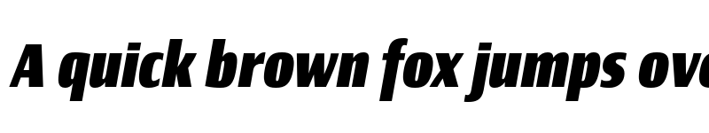 Preview of Newbery Sans Pro Cd ExtraBold It font