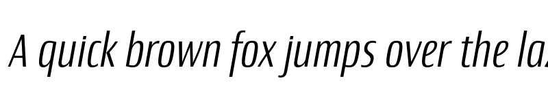 Preview of Newbery Sans Pro Cd Light It font