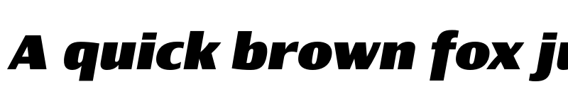 Preview of Newbery Sans Pro Xp ExtraBold It font