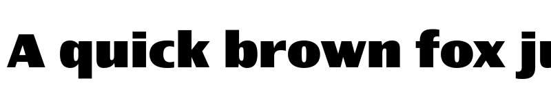 Preview of Newbery Sans Pro Xp ExtraBold font