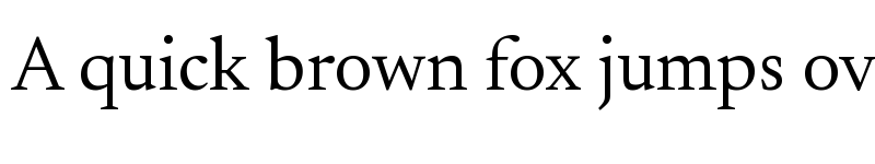 Preview of Newsreader Regular font