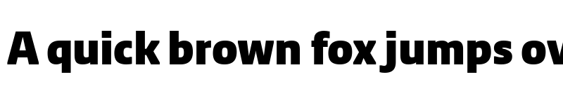 Preview of NewsSans Black font