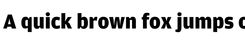 Preview of NewsSector Amplitude Black font