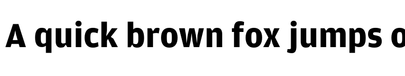 Preview of NewsSector Amplitude Bold font