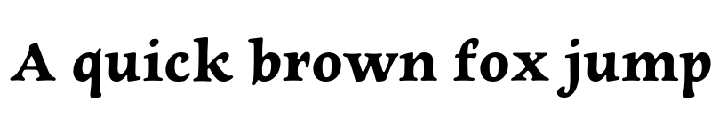 Preview of Newt Serif Bold Regular font