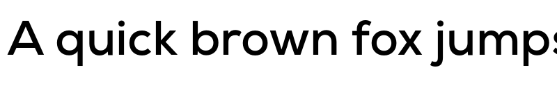 Preview of Nexa Bold font