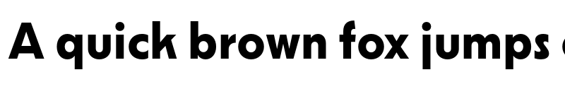 Preview of Nikkei Maru Bold font