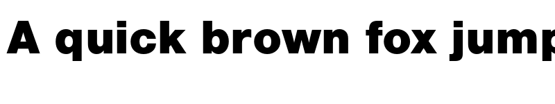 Preview of Nimbus Sans Black font