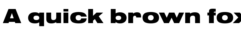 Preview of Nimbus Sans Extd Black font