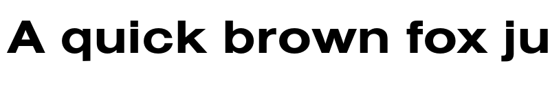 Preview of Nimbus Sans Extd Bold font