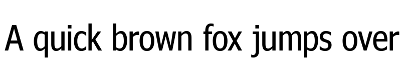 Preview of Nina Regular font