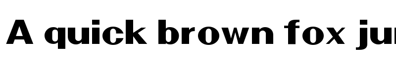 Preview of Nintend Bold font