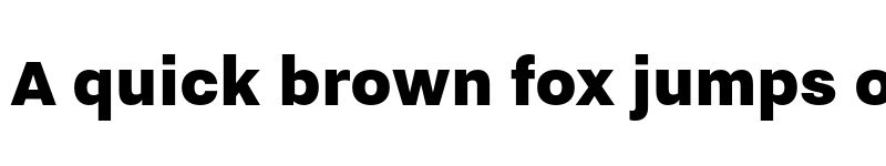 Preview of Nitti Grotesk Black font