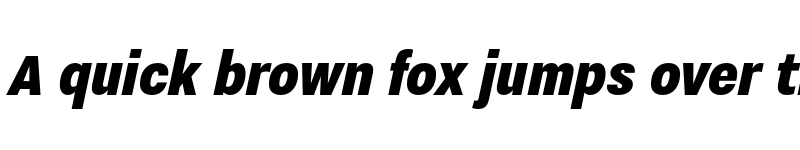 Preview of Nitti Grotesk Condensed Black Italic font