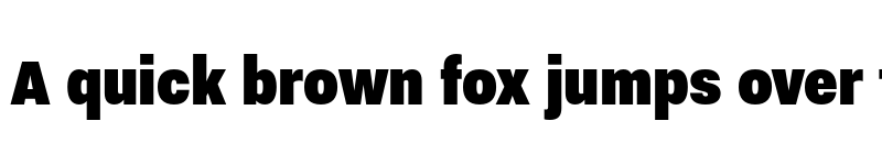 Preview of Nitti Grotesk Condensed ExtraBlack font
