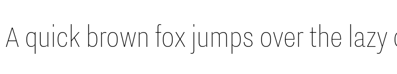 Preview of Nitti Grotesk Condensed Thin font