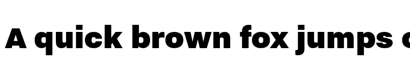 Preview of Nitti Grotesk ExtraBlack font