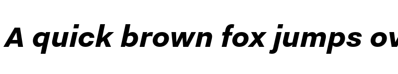 Preview of Nitti Grotesk ExtraBold Italic font