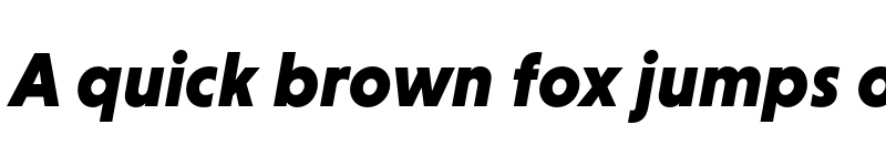 Preview of Niveau Grotesk Black Italic font