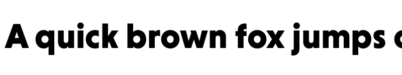 Preview of Niveau Grotesk Black font