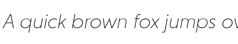 Preview of Niveau Grotesk ExtraLight Italic font