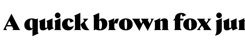 Preview of Nocturne Serif Black font