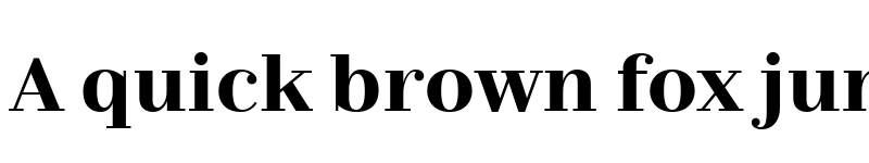 Preview of Nomada Didone Bold font