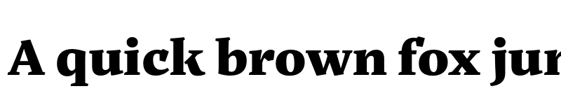 Preview of Noort Display Black font