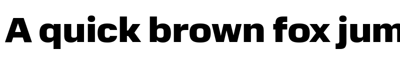 Preview of Normalidad Text Black font