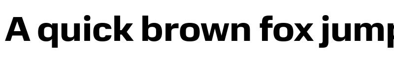 Preview of Normalidad Text Bold font