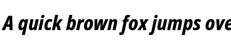 Preview of Noto Sans Condensed ExtraBold Italic font